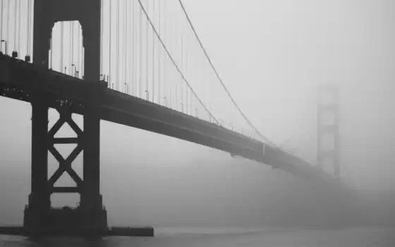 мост, туман, золотистый, gate, gates