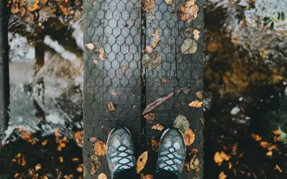 осень, день, прогулка, нога, листва