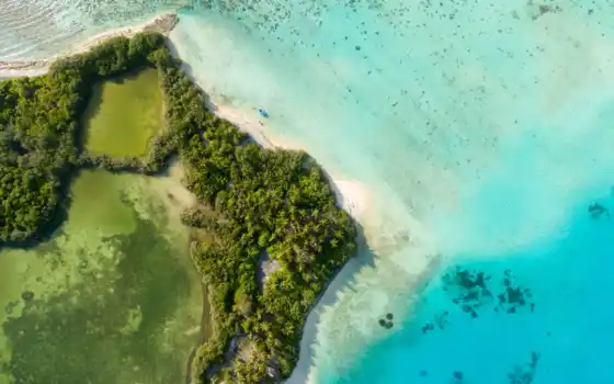 остров, воздушный, мальдивские острова, зеленый