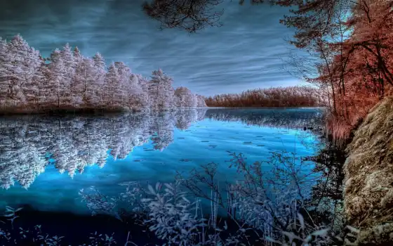 лес, река, зима, небо, вечер,