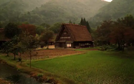 деревня, japanese, природа, лес, горы, японская, трава, японии, кабина, landscape, hill, 