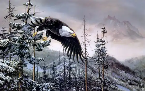 орел, зима, фронт, краска, тишина, гора, эль, уолден, искусство, снег
