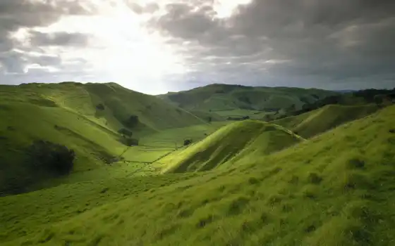 холм, трава, зелень, снег, новый, зеландия, практичный, луг, пейзаж, дерево