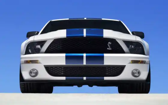 shelby, ford, mustang