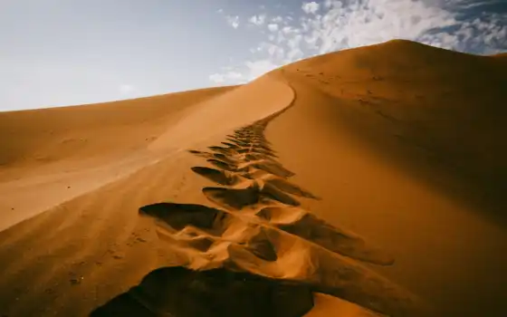 песок, пустыня, она, небритва, арена, украшение, совращение