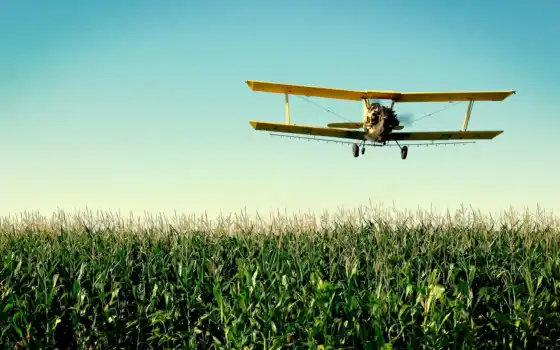 ан, самолёт, полей, со, кукурузным, полем, совершает, полет, поле, 
