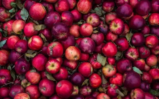 яблоко, красное, новое, табличка, снимат, когда, selhozprodukciya, питание, циннамон, мандарин, плет