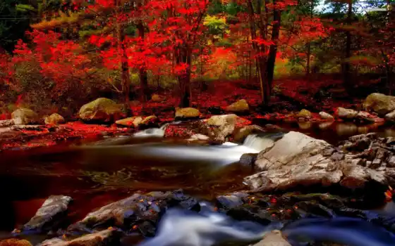 река, осень, лес, маленький, зеленый, цвет, страница, pinterest,
