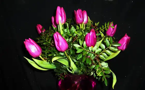 тюльпан, цветы