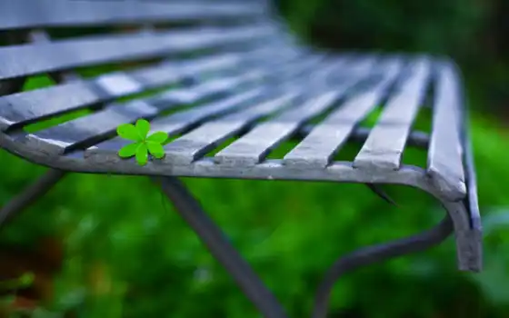скамейка, leaf