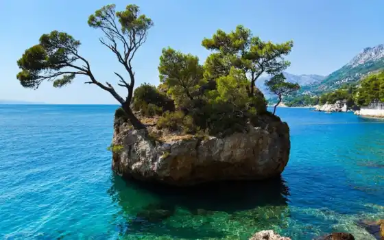 хорватия, остров, brela, фотообои, дерево