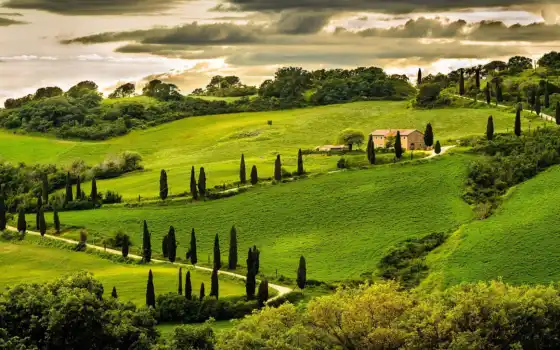 italian, italy, умбрия, landscape, природа