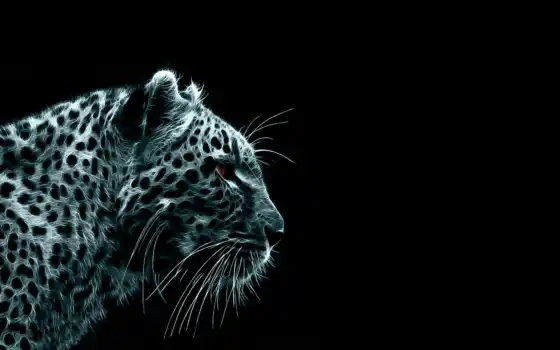 черный, животное, леопард, кот, биг, фракционный, белый, ягуар, монохромный, медитирующий
