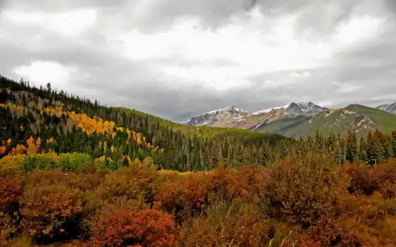 горы, лес, осень, деревья, небо, тучи, картинка, картинку, мыши, кнопкой, природа, 