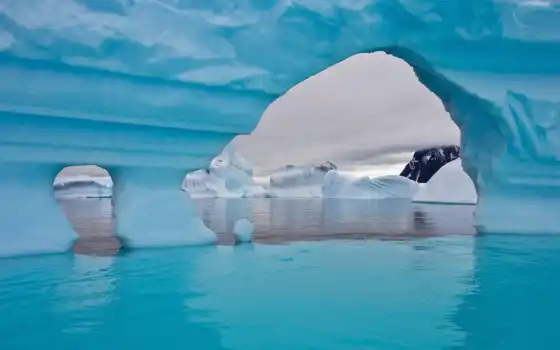 antártida, icebergs, los, que, hielo, viaje, del, por, antartida,