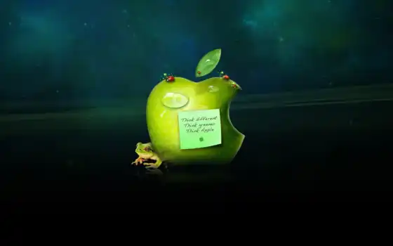 зеленый, подумайте, логотип, ipad, разные, яблоко, лягушка, лягушка, вода, капель, смешное