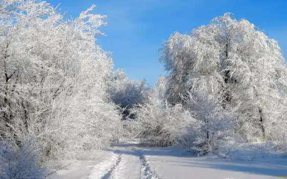 спуск, facebook