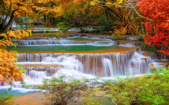 водопад, осень, лес, цена