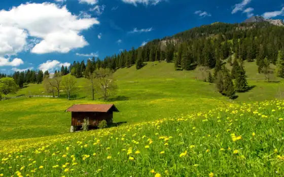 обои на рабочий стол, красивые картинки, картинки для ipad, обои для android