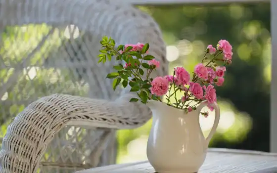 цветы, розы, кувшин, кресло, утро, природа, привет, розовые, 