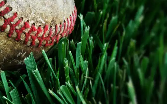бейсбол, трава, макро, спорт, скачать, полный, вид,