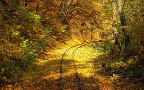 дорога, железная, осень, лес, листопад, 