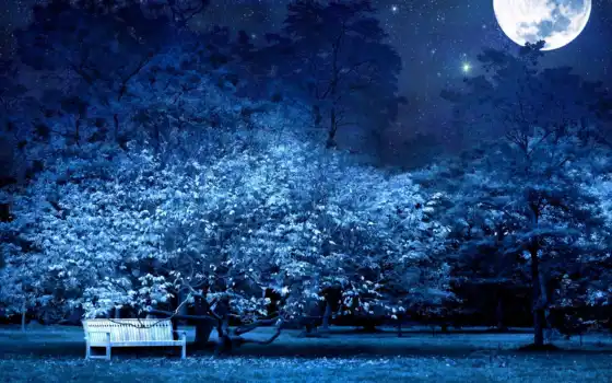 луна, скакалка, ночь, дерево, парк, небо, свет, звезда, темнота