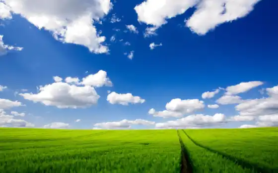 зрелые, униформы, травы, газон, космос, облака,