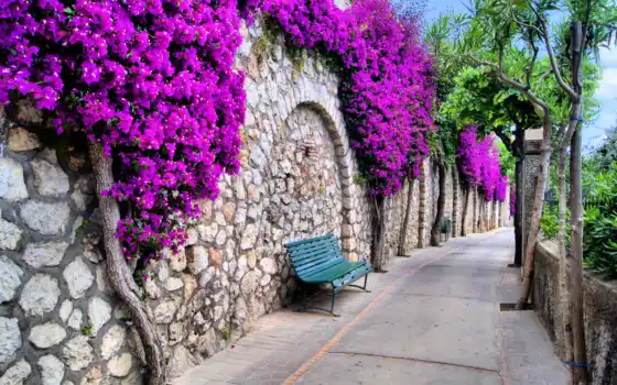 italian, улица, цветы, город, дерево, скамейка