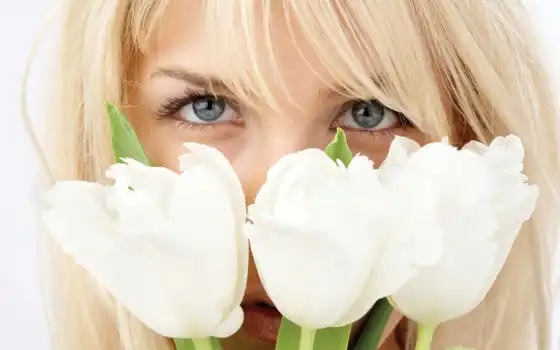тюльпаны, белые, блондинки,