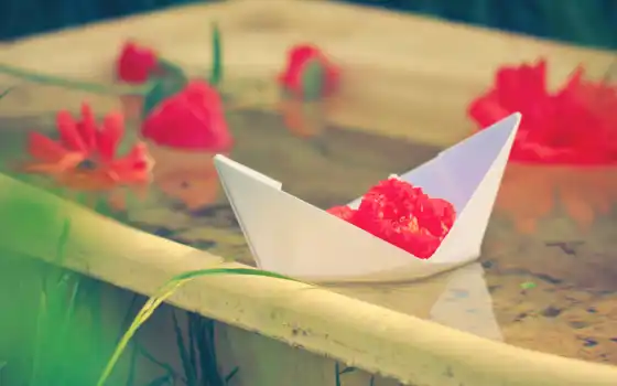 корабль, бумага, цветы, красные, 