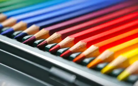 цвет, карандаш, карандаши, натуральные, грибы, цвет, карандаш,