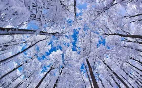 winter, пейзажи -, зимние, красивые, вк, зимняя, зиму, красивых, 