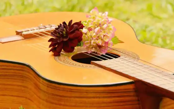 инструмент, гитара, музы, violão, инструмент, pixabay, para,