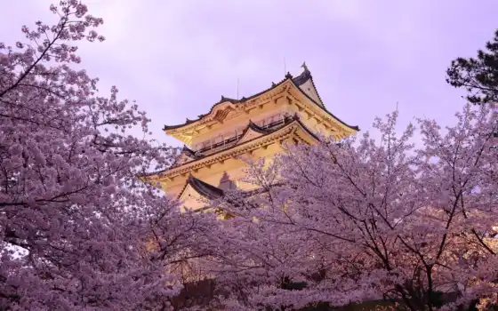 japanese, япония, весна, пагода