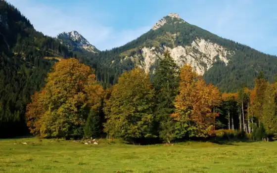 горы, леска, пейзаж, климат, австрия,