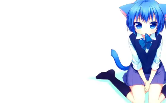 anime, blue, кот, волосы, девушка, nekomimi, white, ears, girls, 