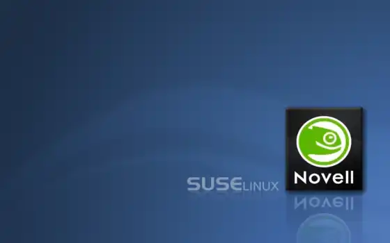 linux, suse, desktop, novell, enterprise, 