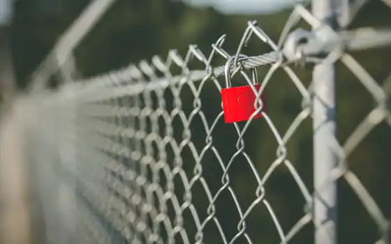 padlock, забор, closeup, сердце, castle, mounted, близко, тег