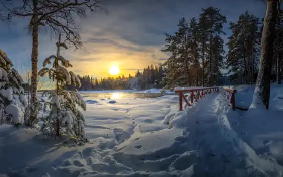 зима, дерево, финляндия, закат, ступня, мост