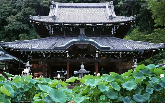 храм, mimuroto, japanese, япония, publish, garden, publicada, ching, roy, город, kyoto