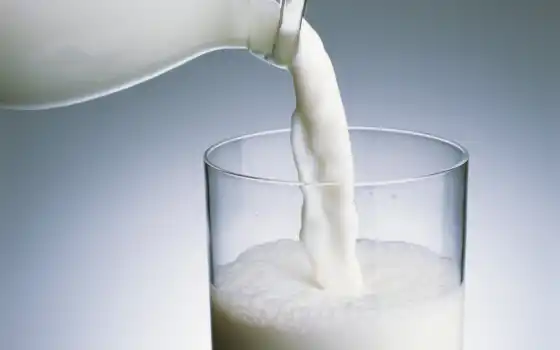 молоко, молочный