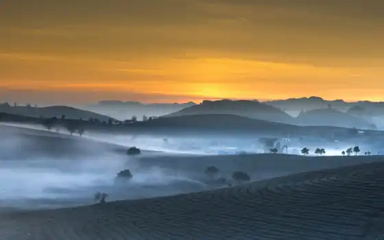 пейзаж, утро, поле, Вьетнам, чая, эрма, рассвет, дымка