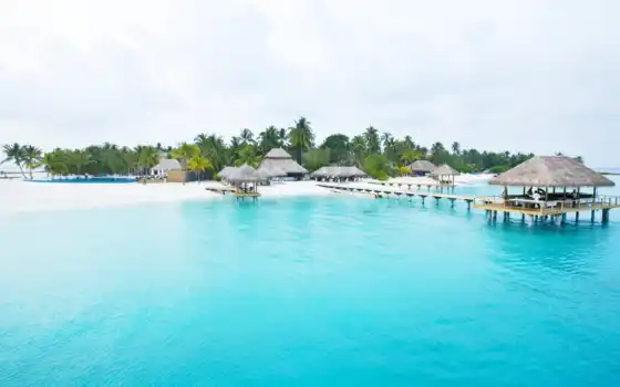maldives, пляж, морское море, глубокий курорт, сишели, младенцы