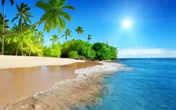 лето, пляжное море, отпуск, лес, лето, солнце