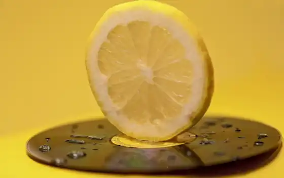 lemon, meyer