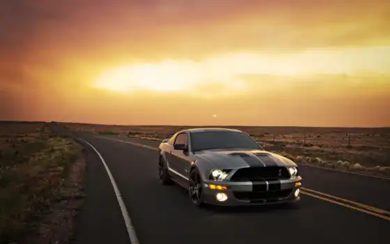 ford, mustang, shelby, машины, https, 