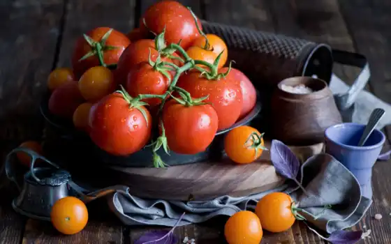 томатное, растительное, греческое, на тюрморт, рецепт
