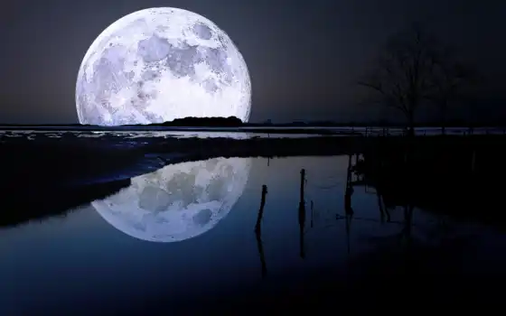 отражение, пейзаж, ночной, заход, небо, вода, луна, 
