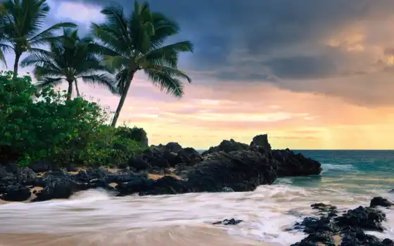 питание, пальма, зона, море, закат, тропический, фон, бесплатно, хавайи